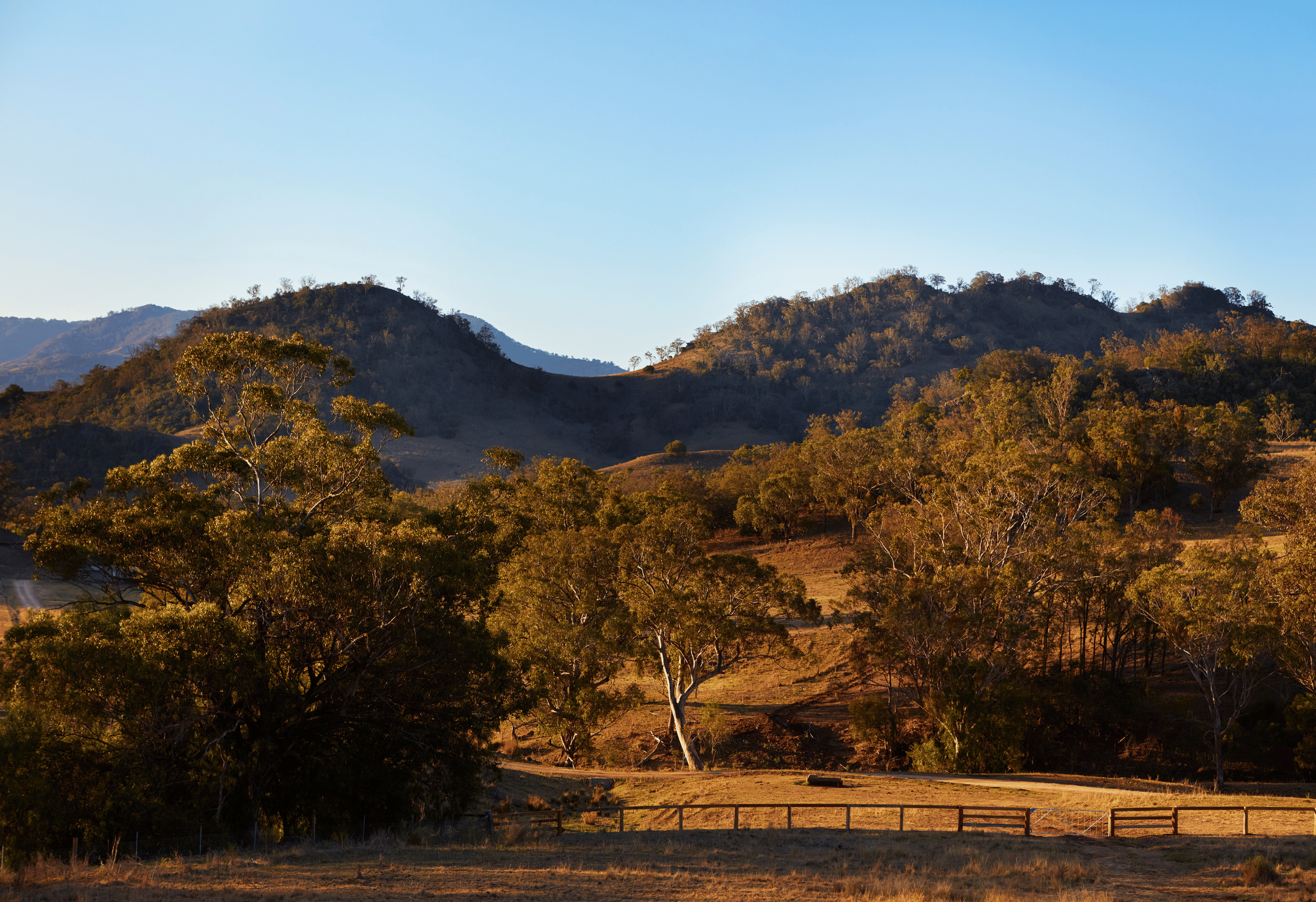 Saddle House rural home landscape view by Hare + Klein