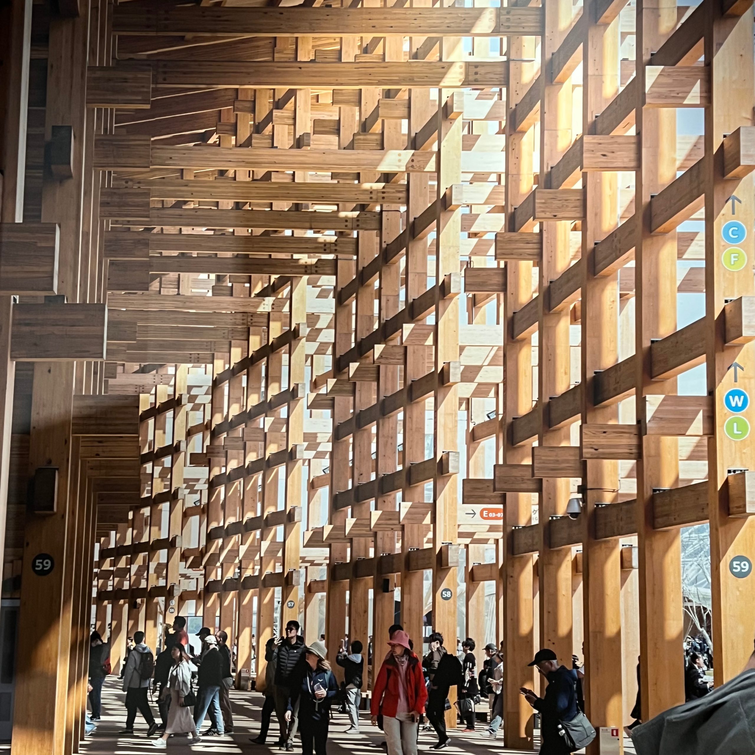 Visitors walking beneath the full size Grand Ring timber structure by Sou Fujimoto at the Expo in Osaka, sunlight filtering through the column and beam joinery.